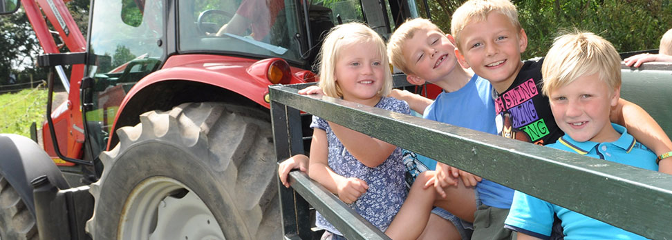 Tractor and Trailer Ride